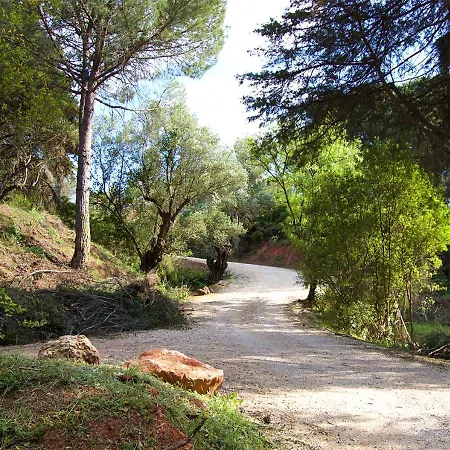 Quinta Dos Vidais