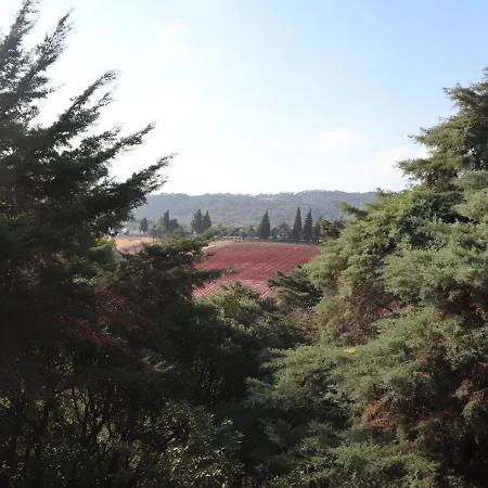Quinta Dos Vidais Panzió Setúbal